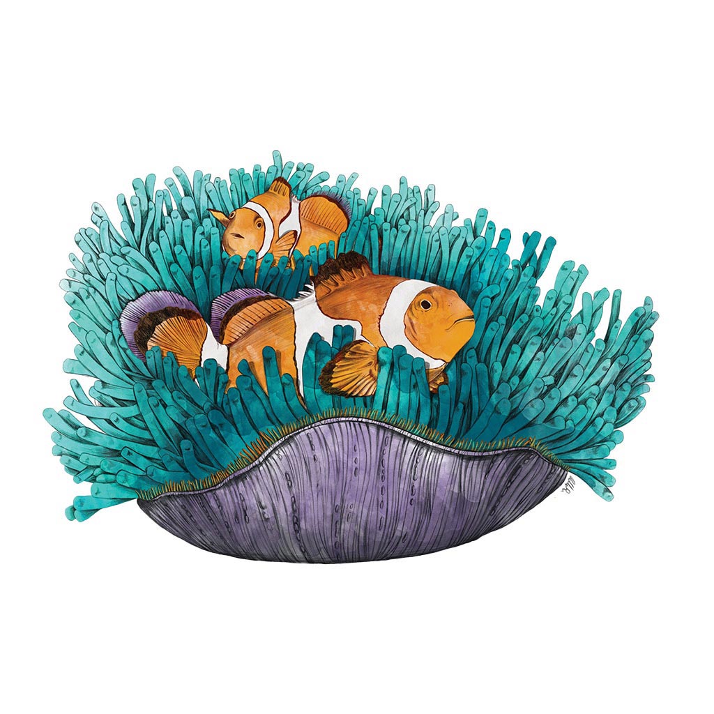 Fish Tank Bottle 600ml Clownfish