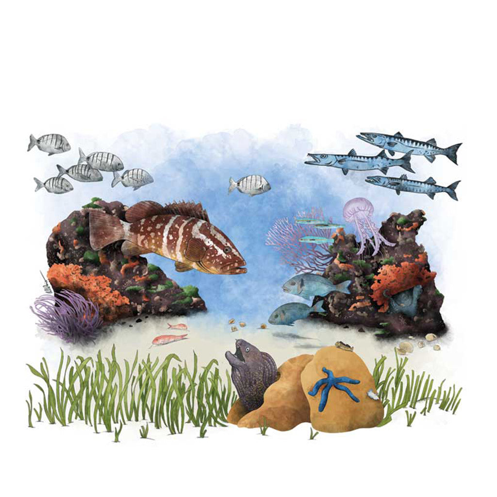 fish-tank-bottle-trinkflasche-600ml-grouper - waterloverz.com Onlineshop für Tauchen, Schnorcheln, Schwimmen