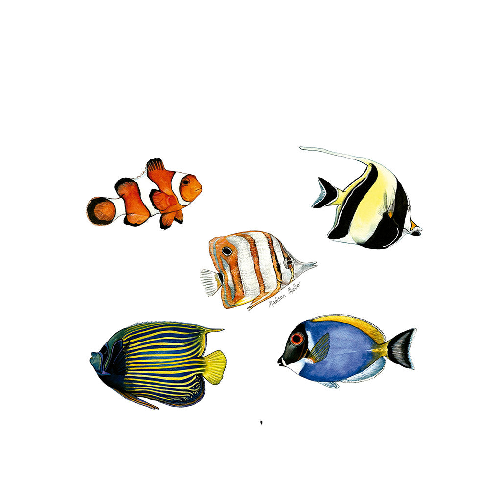 fish-tank-bottle-trinkflasche-600ml-reef-fish - waterloverz.com Onlineshop für Tauchen, Schnorcheln, Schwimmen