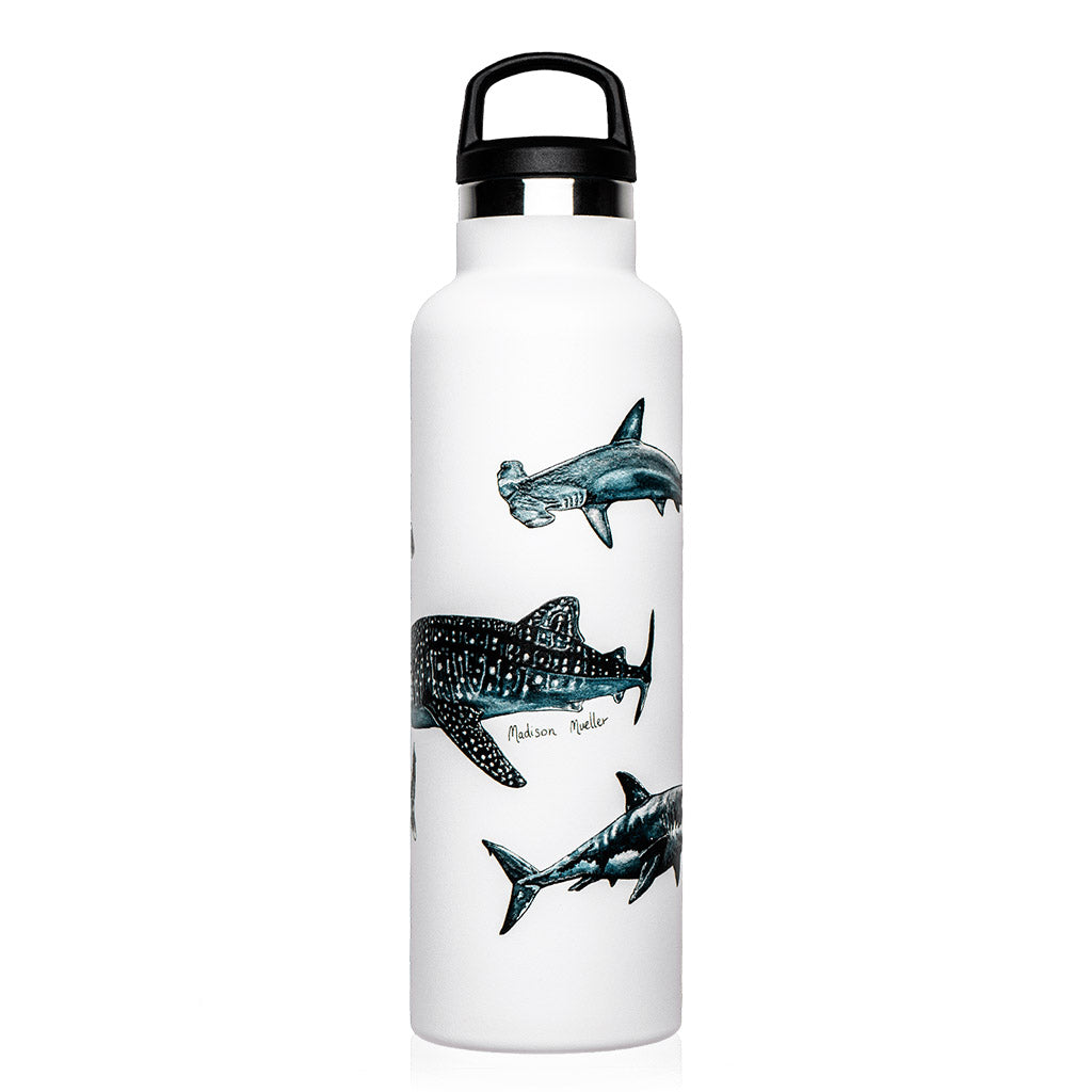 fish-tank-bottle-trinkflasche-600ml-shark-poster - waterloverz.com Onlineshop für Tauchen, Schnorcheln, Schwimmen