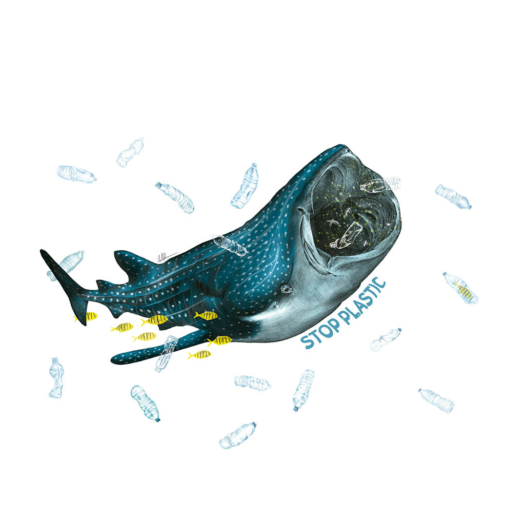 fish-tank-bottle-trinkflasche-600ml-stop-plastic - waterloverz.com Onlineshop für Tauchen, Schnorcheln, Schwimmen