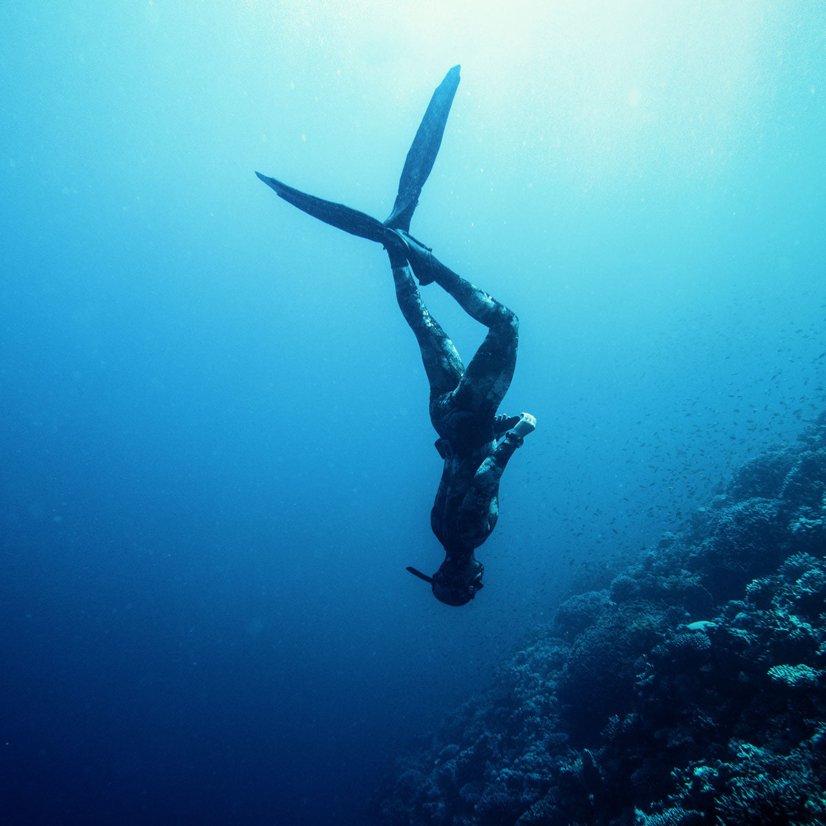 mares-smart-apnea-freitauchcomputer - waterloverz.com Onlineshop für Tauchen, Schnorcheln, Schwimmen