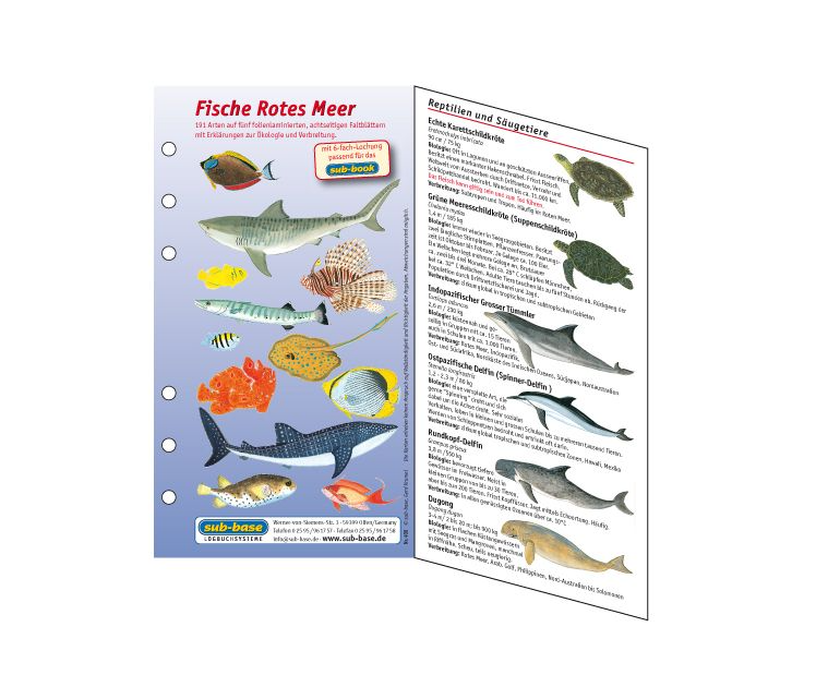 subbase-fischbestimmungskarten-furs-logbuch-rotes-meer-1 - waterloverz.com Onlineshop für Tauchen, Schnorcheln, Schwimmen