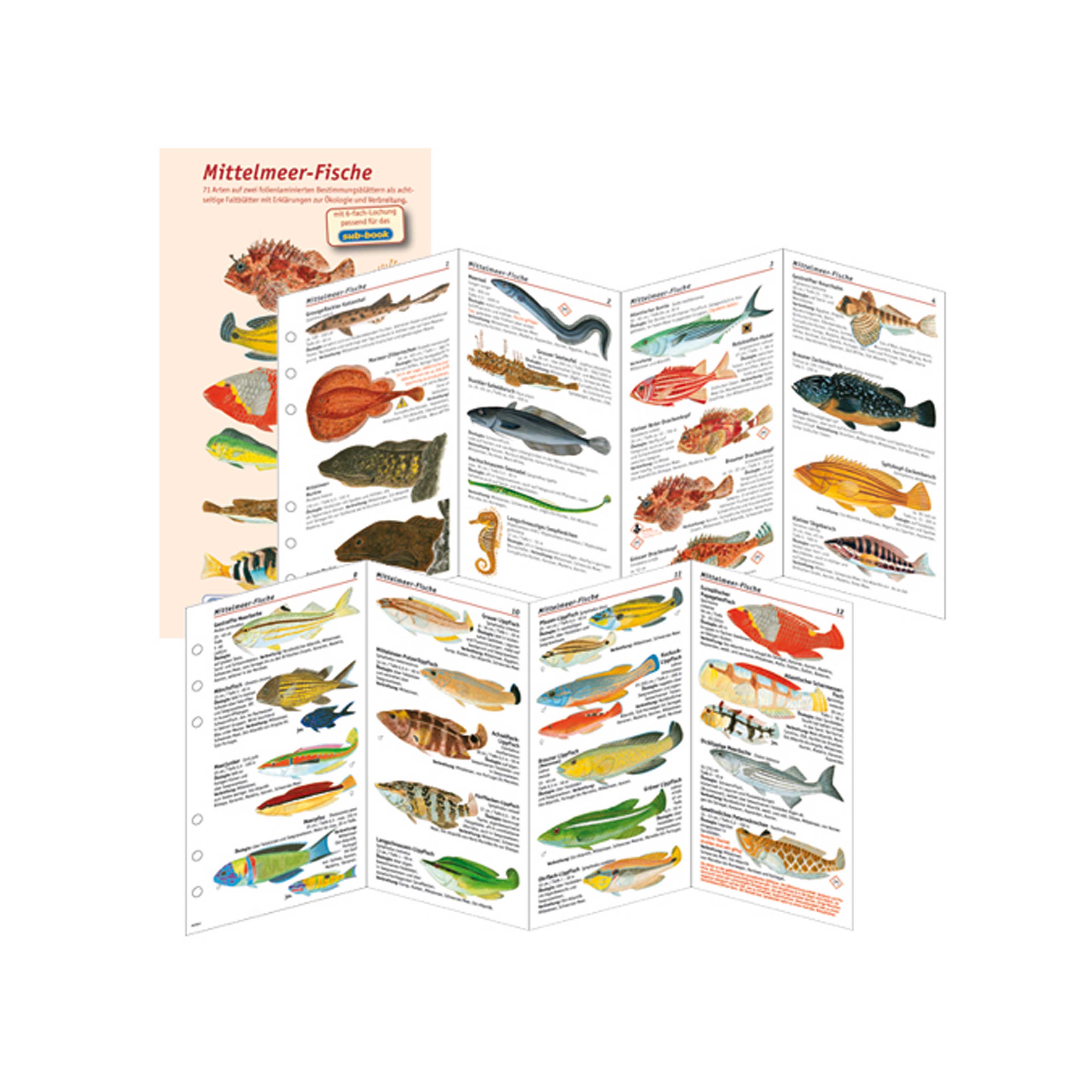 subbase-fischbestimmungskarten-furs-logbuch-mittelmeerfische-1 - waterloverz.com Onlineshop für Tauchen, Schnorcheln, Schwimmen