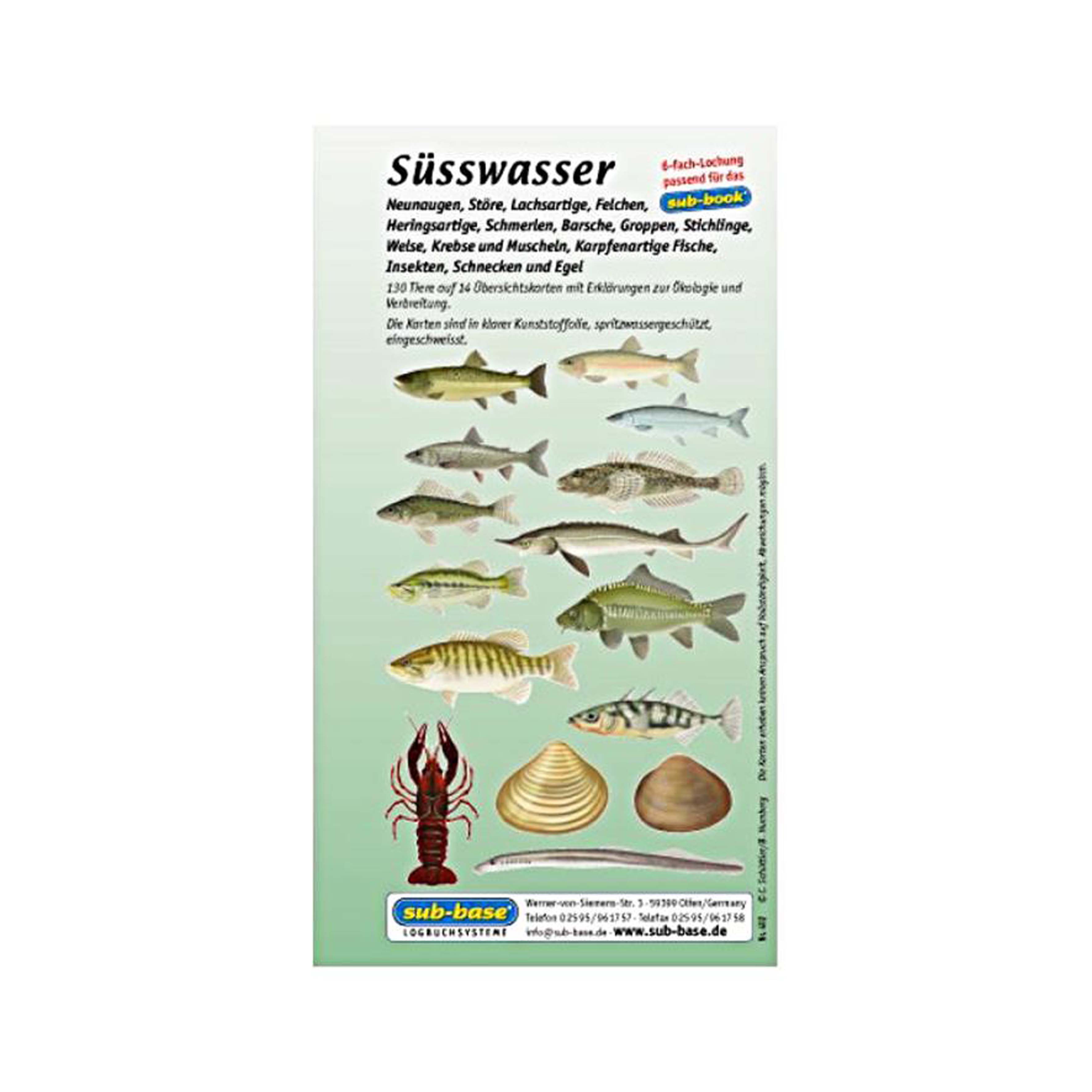 subbase-fischbestimmungskarten-furs-logbuch-susswasserfische-1 - waterloverz.com Onlineshop für Tauchen, Schnorcheln, Schwimmen