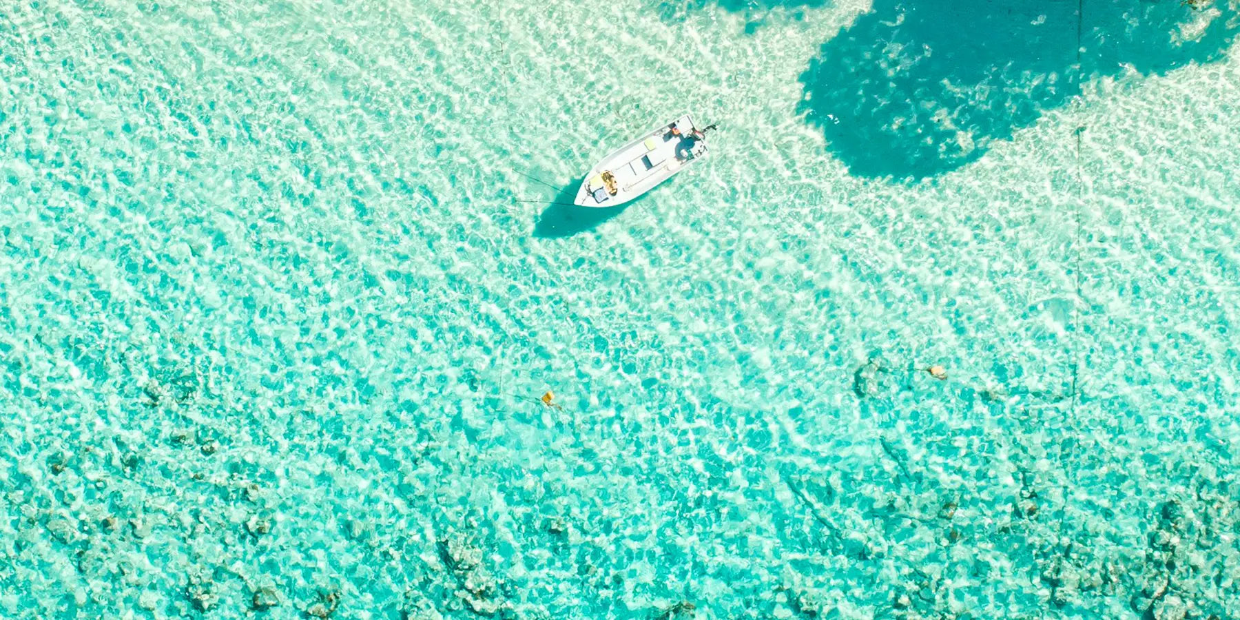Tauchen auf den Malediven: Dein Guide fürs Unterwasserparadies