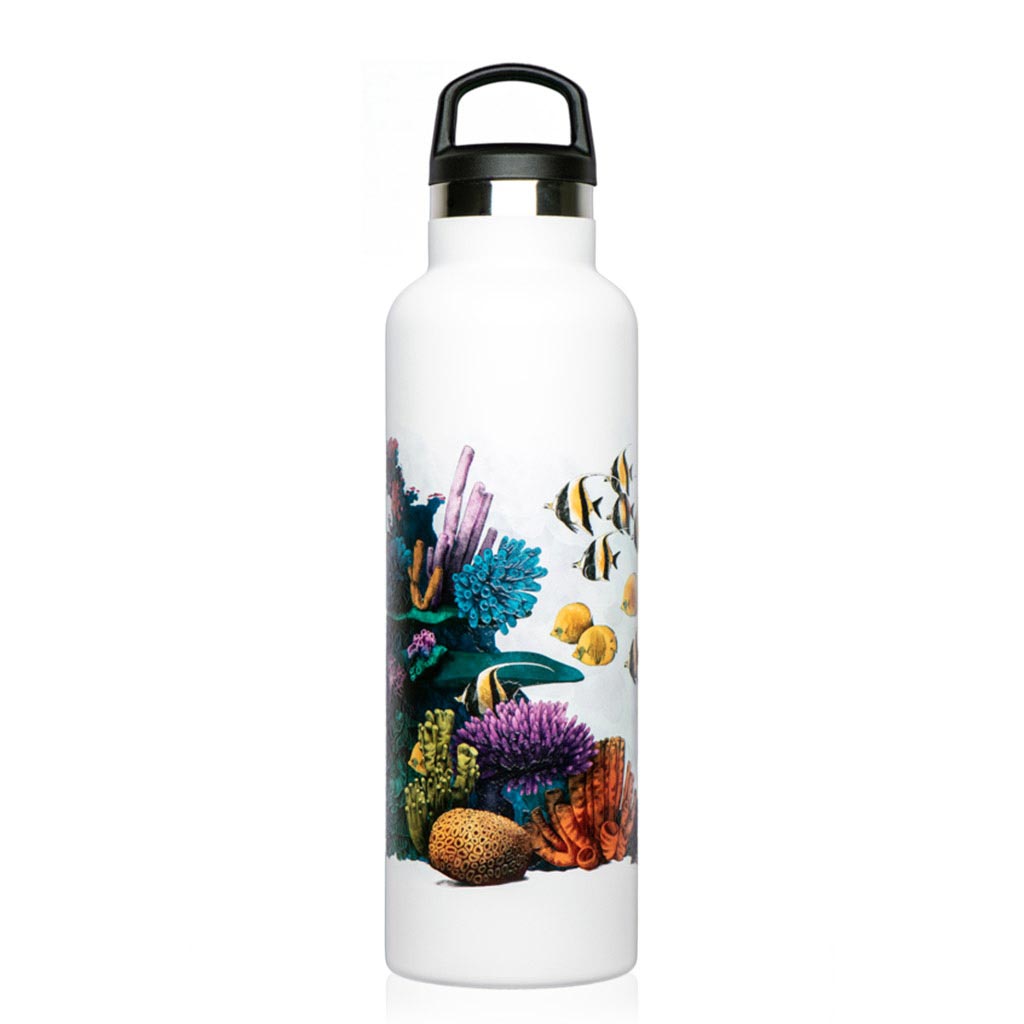 Fish Tank Bottle 600ml Corals