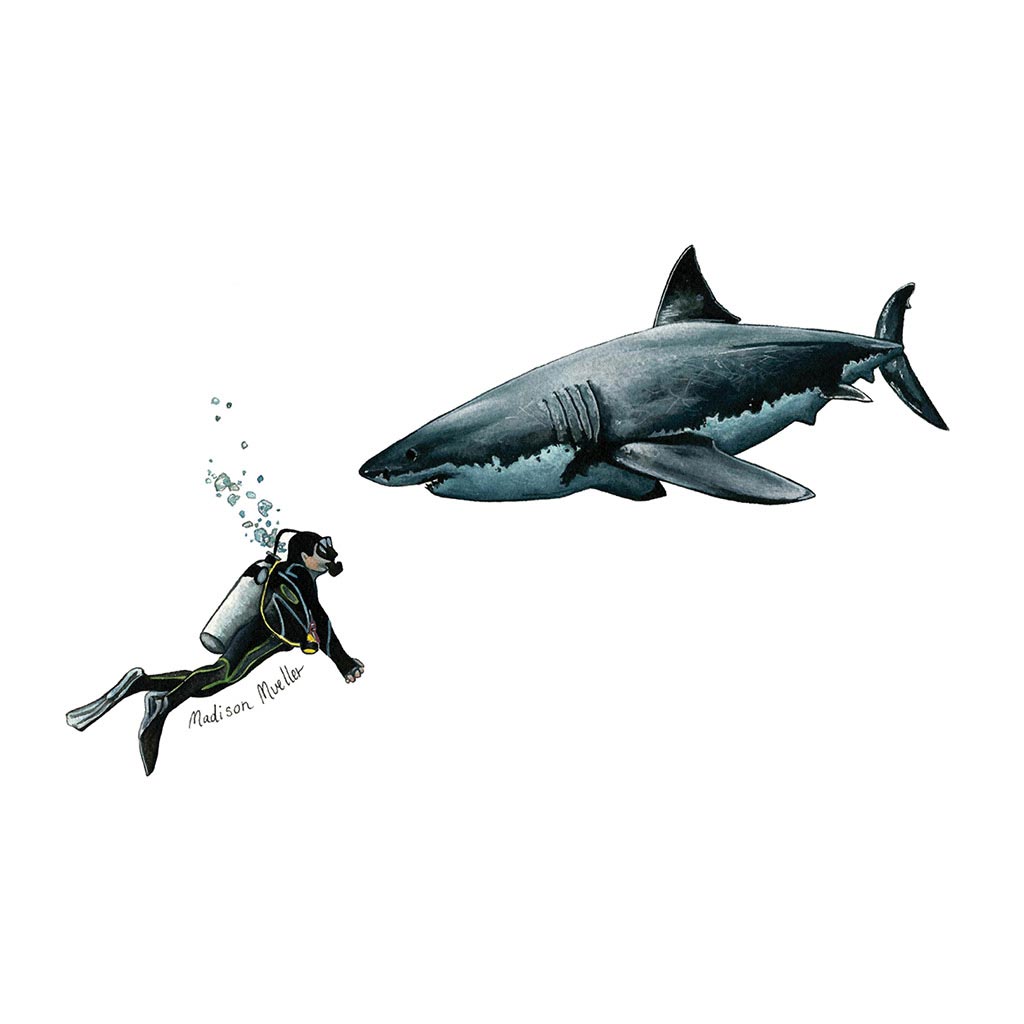 Fish Tank Bottle 600ml Great White Diver