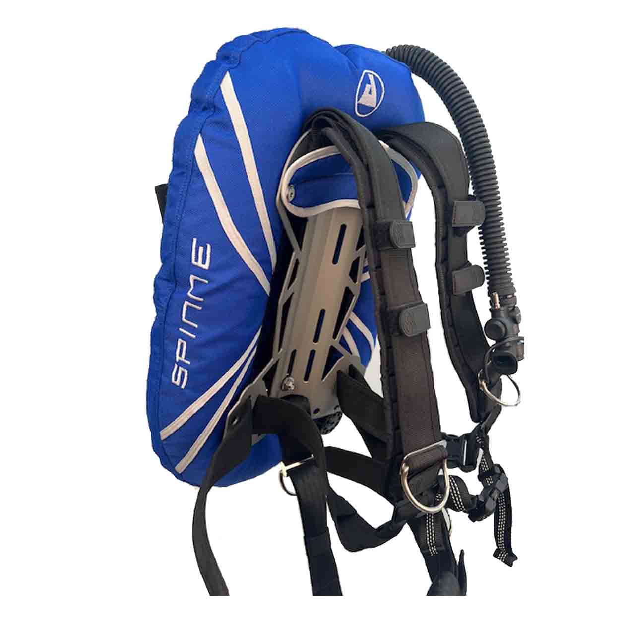 Audaxpro Spinne Plate 18